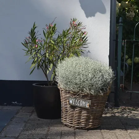 Hébergement de vacances Betuwezicht Neerijnen