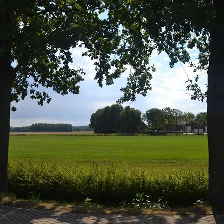 Betuwezicht Neerijnen