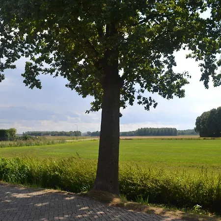 Betuwezicht Neerijnen