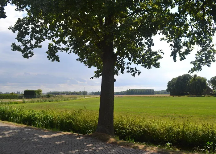 Betuwezicht Neerijnen