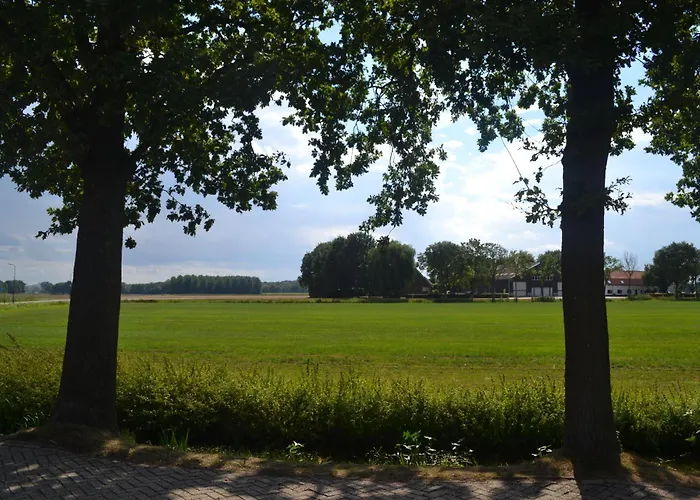 Betuwezicht Neerijnen